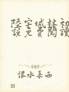 陆宇城林初韵小说免费阅读最新章节