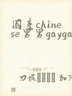国产chinese男男gaygay 网站
