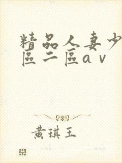 精品人妻少妇一区二区aⅴ封面