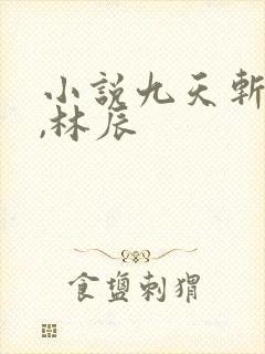 小说九天斩神诀,林辰