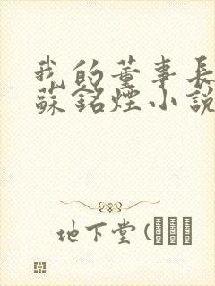 我的董事长妈妈苏铭烟小说最新章节