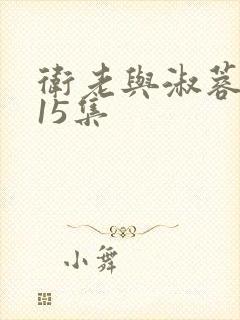 卫老与淑蓉1～15集