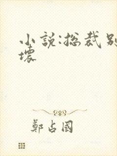 小说:总裁别太坏封面