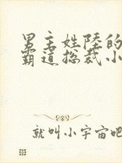 男主姓陆的全部霸道总裁小说封面