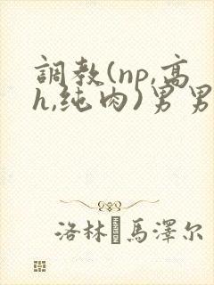 调教(np,高h,纯肉)男男