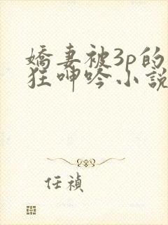 娇妻被3p的疯狂呻吟小说