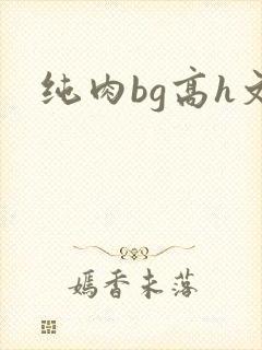 纯肉bg高h文