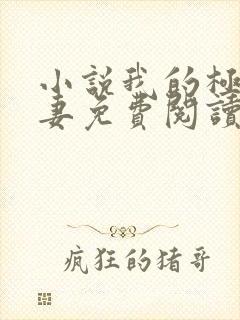 小说我的极品娇妻免费阅读全文