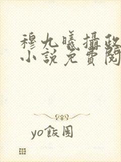 穆九曦摄政王的小说免费阅读封面