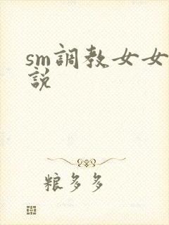 sm调教女女小说