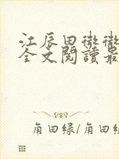 江辰田微微小说全文阅读最新章节