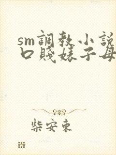 sm调教小说重口贱婊子母狗