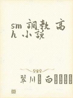 sm 调教 高h 小说