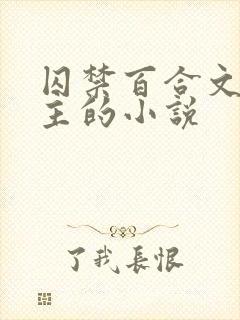 囚禁百合文双女主的小说