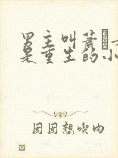 男主叫萧玦女主是重生的小说