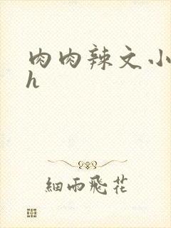 肉肉辣文小说高h