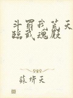 斗罗我荒天帝降临武魂殿