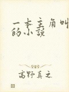 一本主角叫林萧的小说