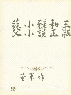 苏小雅和三个养父小说正版封面