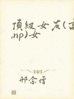 顶级女友(高h,np)女