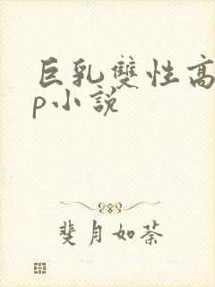 巨乳双性高辣np小说