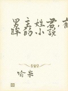 男主姓君,有紫眸的小说