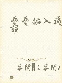 爱爱插入逼逼小说