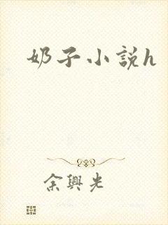 奶子小说h封面