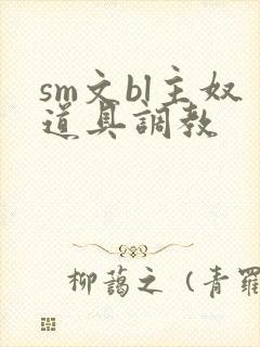 sm文bl主奴道具调教