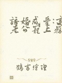 诱婚成爱:高冷老公宠上瘾