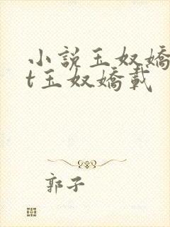 小说玉奴娇txt玉奴娇载封面