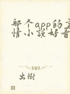 哪个app的言情小说好看