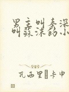 男主叫秦深女主叫苏沫的小说