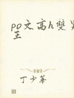po文高h双男主