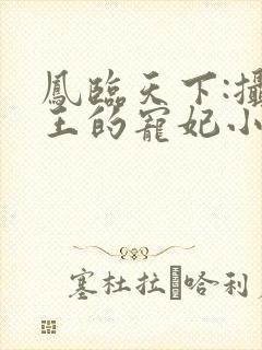 凤临天下:摄政王的宠妃小说小说