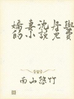 娇妻沈丹与陈婷的小说免费阅读最新