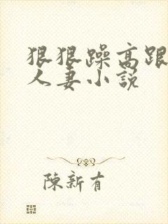 狠狠躁高跟丝袜人妻小说