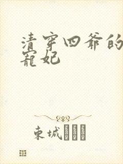 清穿四爷的心尖宠妃