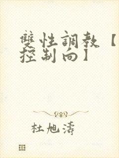 双性调教【道具控制向】
