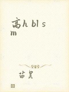 高h bl sm