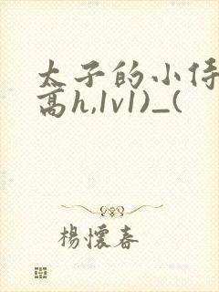 太子的小侍妾(高h,1v1)_(