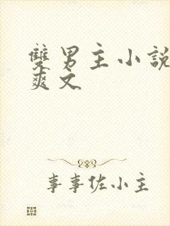 双男主小说推荐爽文