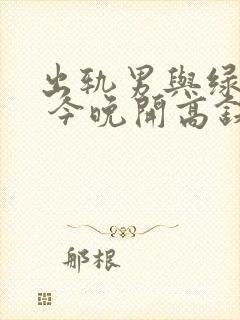 出轨男与绿帽女 今晚开高铁小说封面