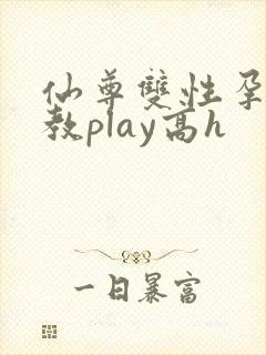仙尊双性孕夫调教play高h封面