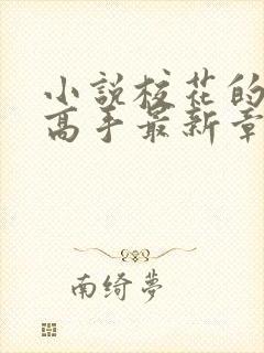 小说校花的贴身高手最新章节列表列表