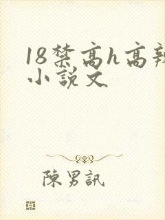 18禁高h高辣小说文