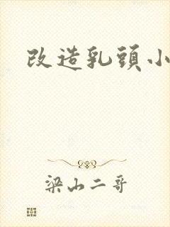 改造乳头小说