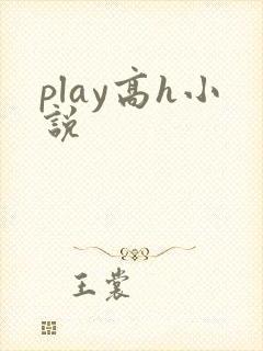 play高h小说封面