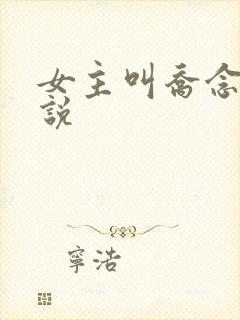 女主叫乔念的小说封面