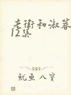 老卫和淑蓉7—12集